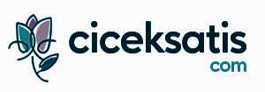 �i�ek Satis